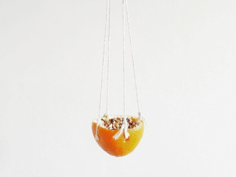 How to make a simple and effective orange peel bird feeder for small birds in our winter gardens 🍊