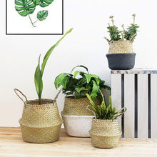 Load image into Gallery viewer, Display of four natural seagrass wicker baskets with plants
