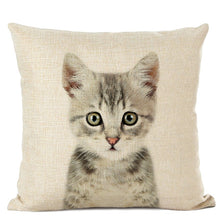 Load image into Gallery viewer, Linen cushion case with cute baby animal cat face
